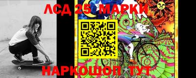 гидра Краснокаменск