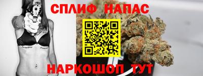 гидра Краснокаменск