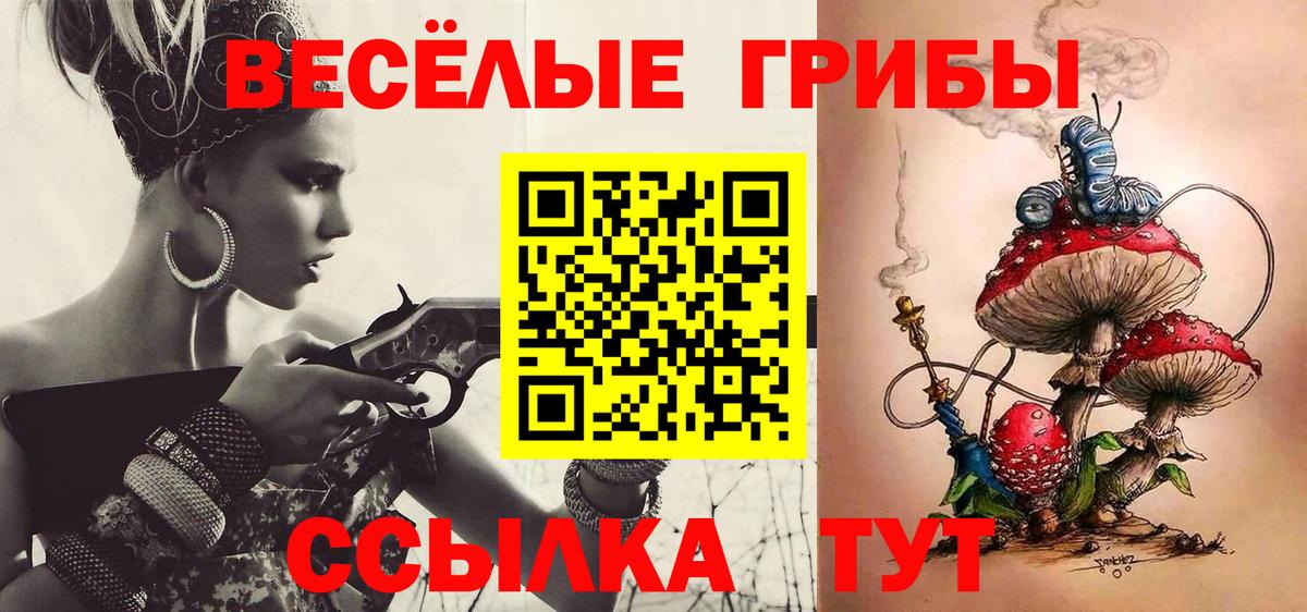 Псилоцибиновые грибы Psilocybine cubensis Гусь-Хрустальный